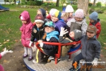 Jedyneczki sprzątają Świat