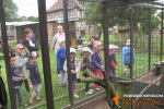 W Muzeum Kolei Wąskotorowej