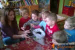 Jedyneczki w obiektywie