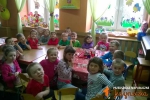 Jedyneczki w obiektywie