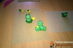 Jedyneczki w obiektywie