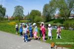 Wyprawa Tygrysów