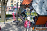 Wyprawa Tygrysów
