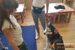 Dogoterapia w Jedyneczce