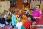 Na skrzypeczkach gram