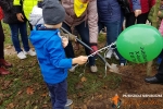 Jedyneczki sadzą drzewa z Uniwersytetem Trzeciego Wieku