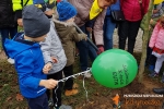 Jedyneczki sadzą drzewa z Uniwersytetem Trzeciego Wieku