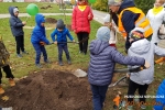 Jedyneczki sadzą drzewa z Uniwersytetem Trzeciego Wieku