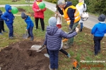 Jedyneczki sadzą drzewa z Uniwersytetem Trzeciego Wieku