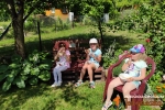 Jedyneczki na Letnim Pikniku