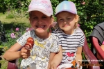 Jedyneczki na Letnim Pikniku
